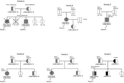 The prevalence and genotype of 21-hydroxylase deficiency in the Croatian Romani population